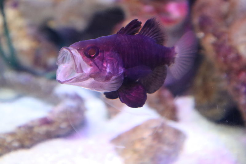 f:id:itsuwalove777:20201127090023j:plain