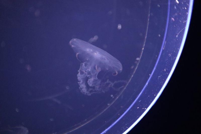 f:id:itsuwalove777:20201128230433j:plain