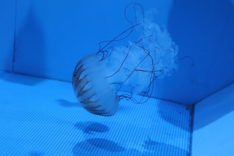 f:id:itsuwalove777:20201128230547j:plain