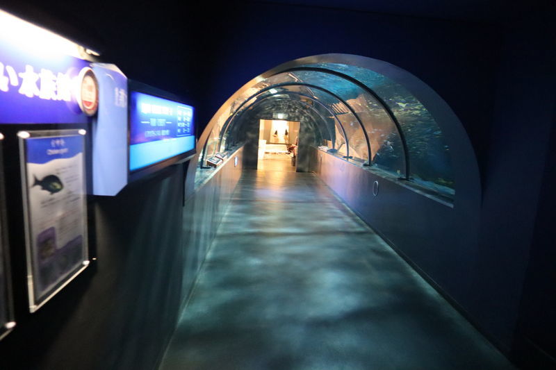 f:id:itsuwalove777:20201129230947j:plain