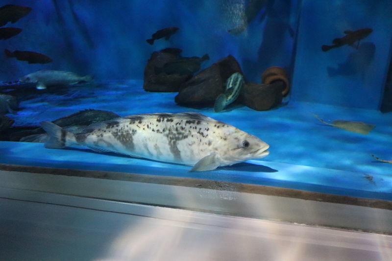 f:id:itsuwalove777:20201129231232j:plain