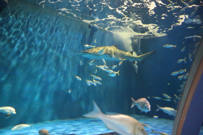 f:id:itsuwalove777:20201129231513j:plain