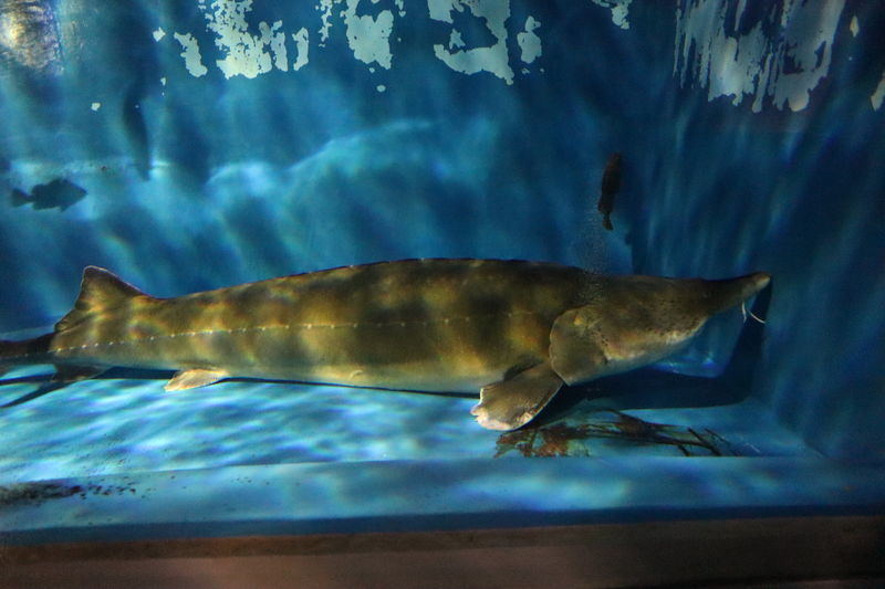 f:id:itsuwalove777:20201129231836j:plain