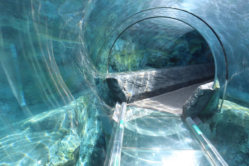 f:id:itsuwalove777:20201201184757j:plain