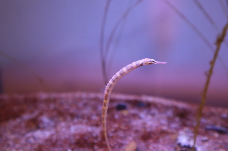 f:id:itsuwalove777:20201204141500j:plain