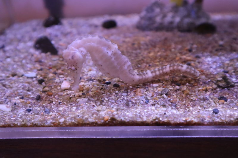 f:id:itsuwalove777:20201204142001j:plain