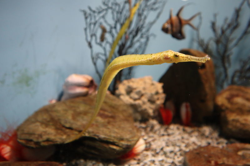 f:id:itsuwalove777:20201204142353j:plain