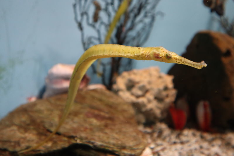 f:id:itsuwalove777:20201204142404j:plain