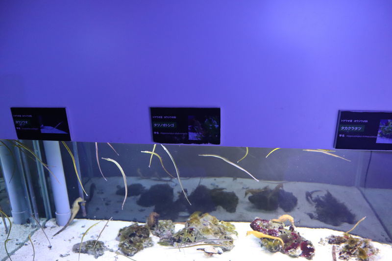 f:id:itsuwalove777:20201208011031j:plain