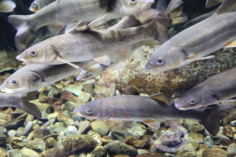 f:id:itsuwalove777:20201208211217j:plain