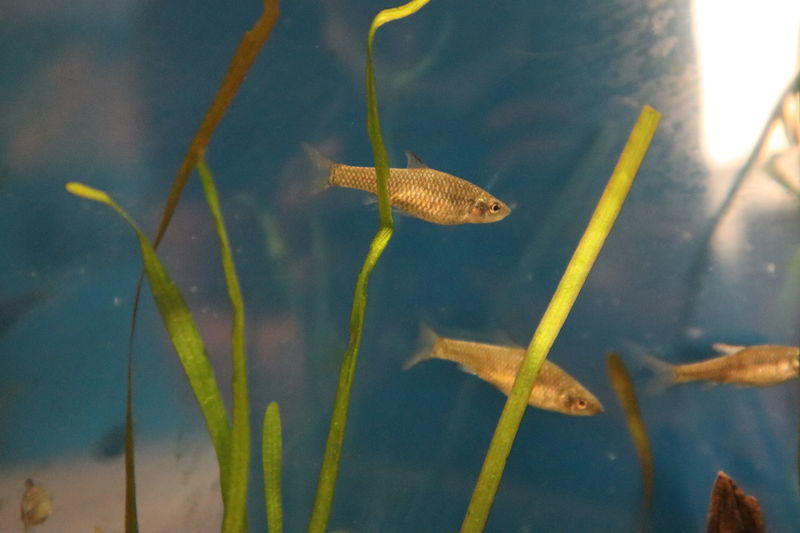 f:id:itsuwalove777:20201208211508j:plain