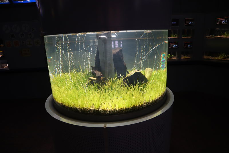 f:id:itsuwalove777:20201214085616j:plain