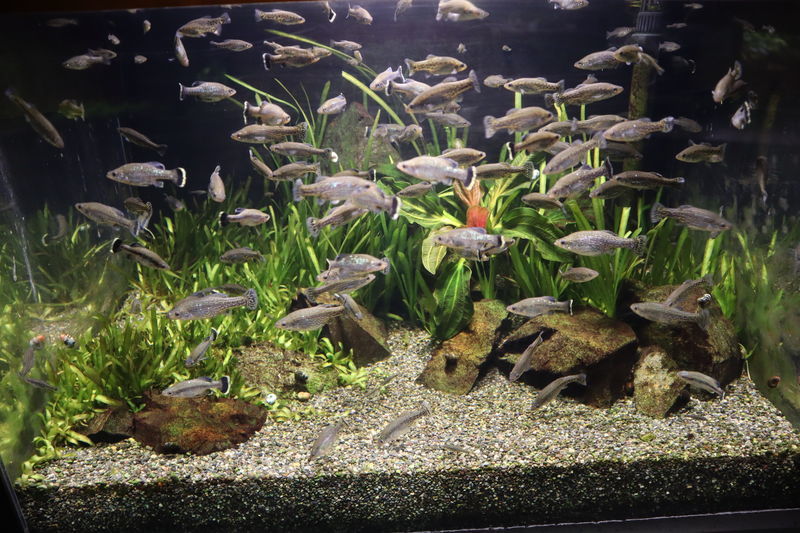 f:id:itsuwalove777:20201214090426j:plain