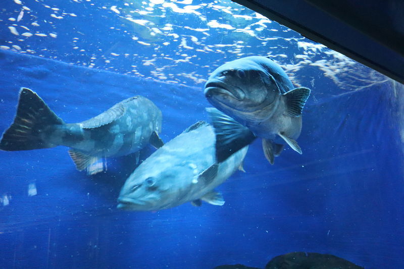 f:id:itsuwalove777:20201221172538j:plain