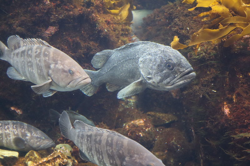 f:id:itsuwalove777:20201221174511j:plain