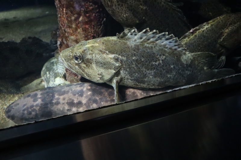 f:id:itsuwalove777:20201221174537j:plain