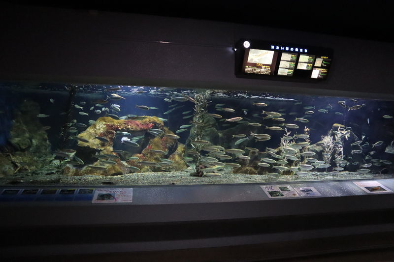 f:id:itsuwalove777:20201222130409j:plain