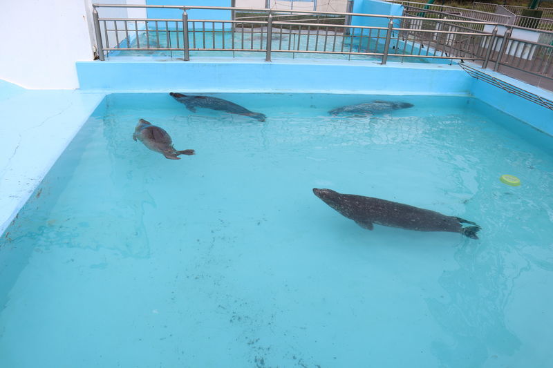 f:id:itsuwalove777:20201223140613j:plain