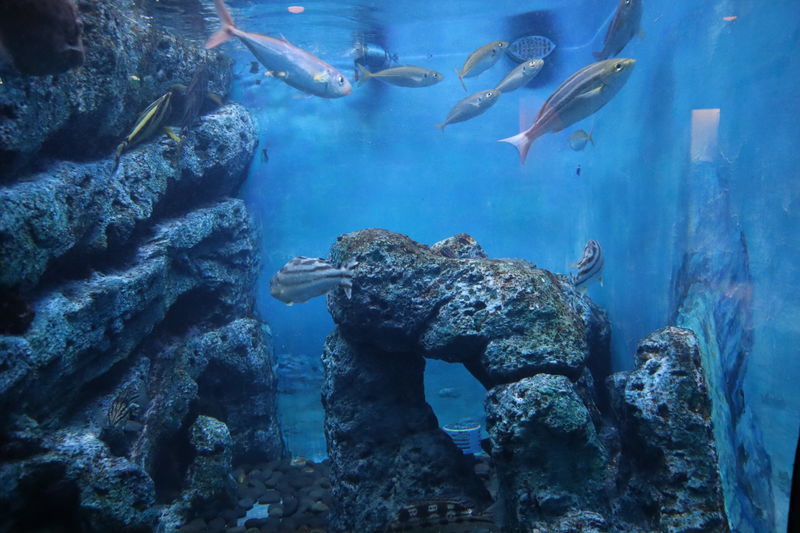 f:id:itsuwalove777:20201226134746j:plain