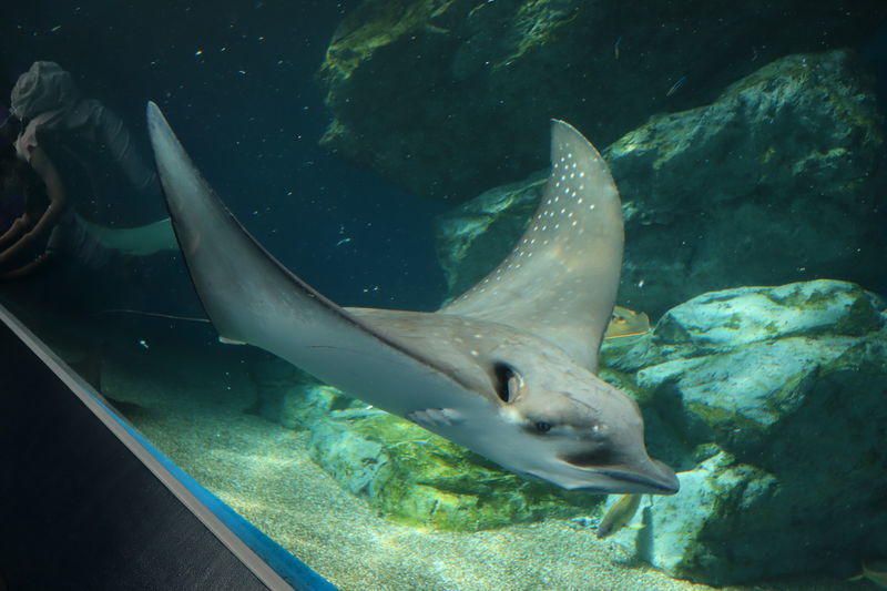 f:id:itsuwalove777:20201227105428j:plain