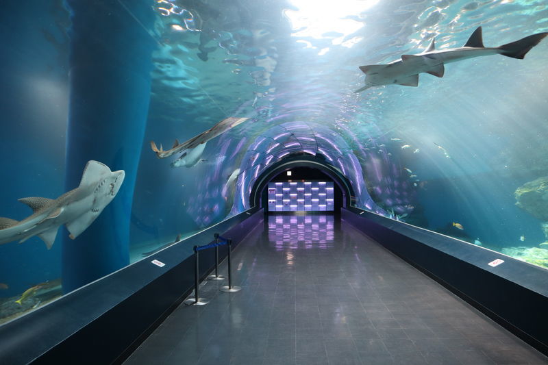 f:id:itsuwalove777:20201227133506j:plain