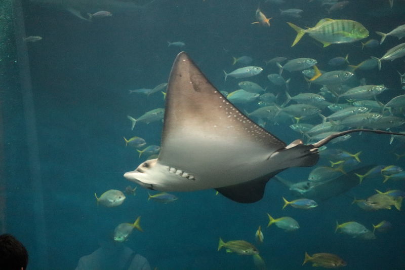 f:id:itsuwalove777:20201227133746j:plain