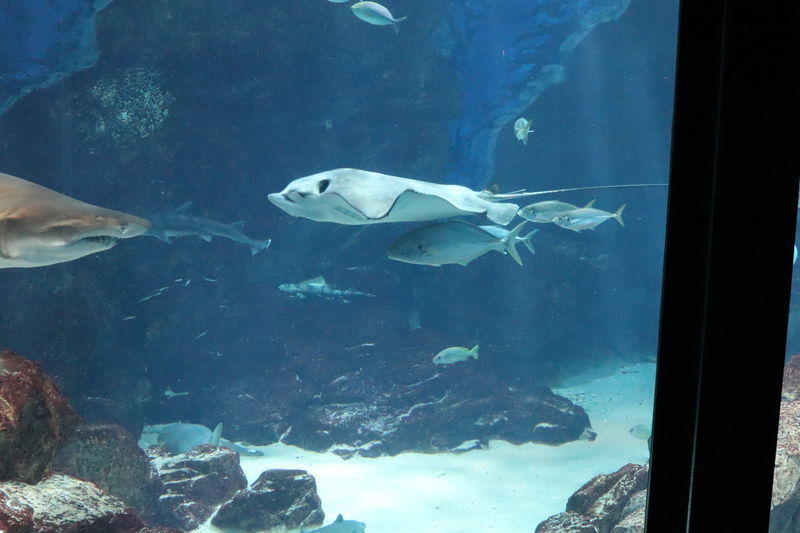 f:id:itsuwalove777:20201227142714j:plain