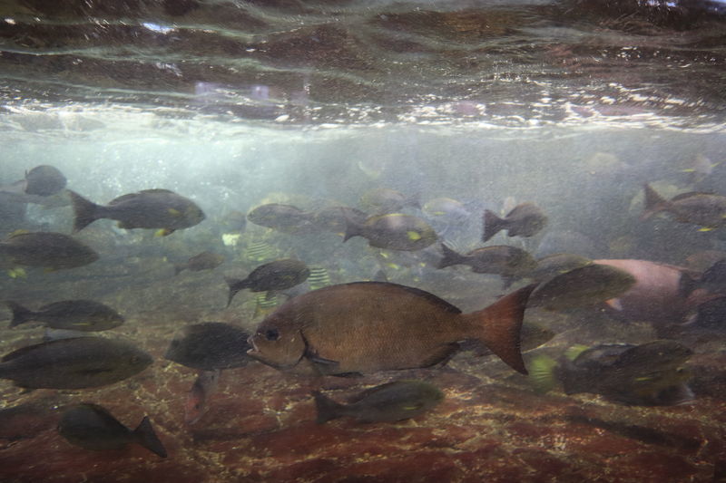 f:id:itsuwalove777:20210104214439j:plain