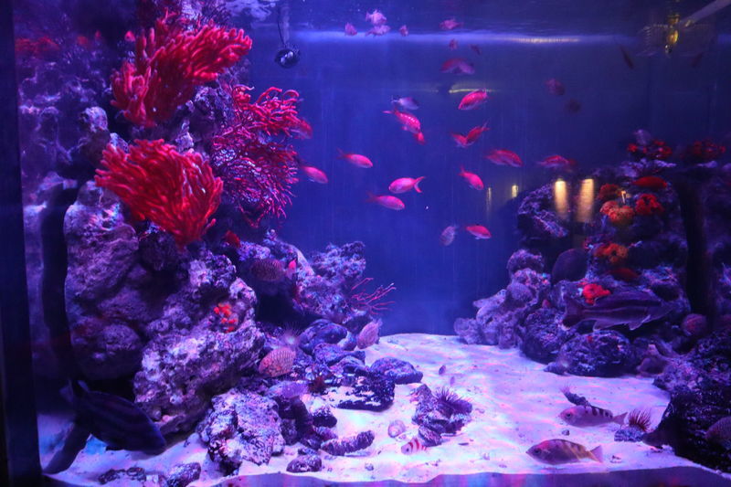 f:id:itsuwalove777:20210107005404j:plain