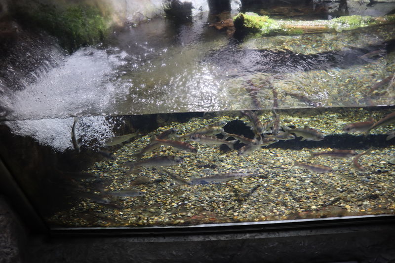 f:id:itsuwalove777:20210122204219j:plain