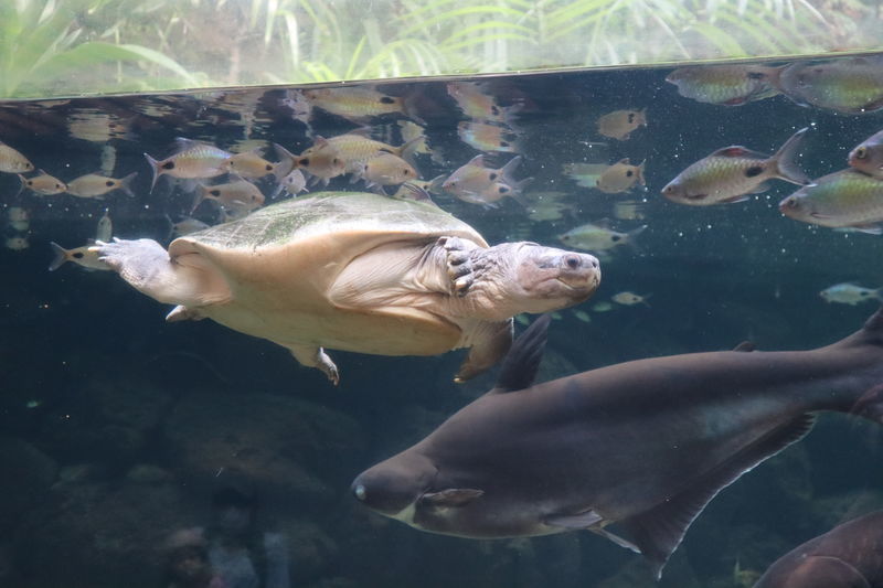 f:id:itsuwalove777:20210122235256j:plain