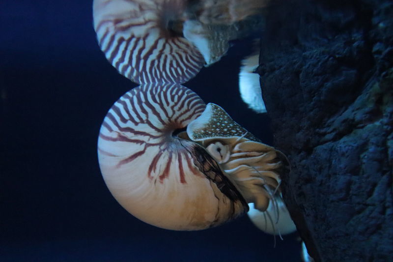 f:id:itsuwalove777:20210128010255j:plain