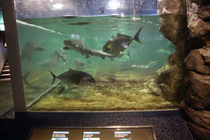 f:id:itsuwalove777:20210228030014j:plain