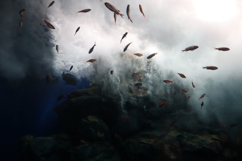 f:id:itsuwalove777:20210228032734j:plain