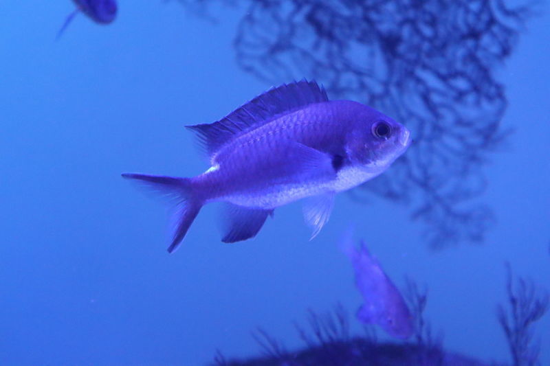 f:id:itsuwalove777:20210228032807j:plain