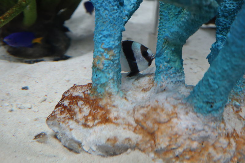 f:id:itsuwalove777:20210228033523j:plain