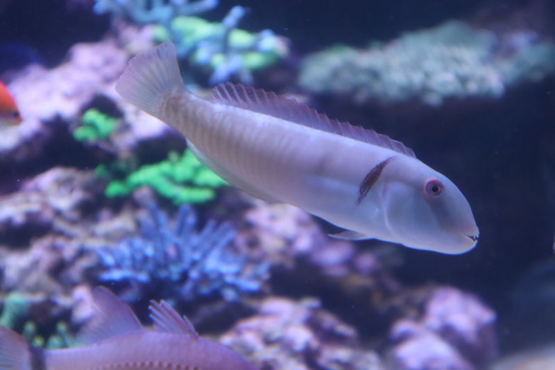 f:id:itsuwalove777:20210228041406j:plain