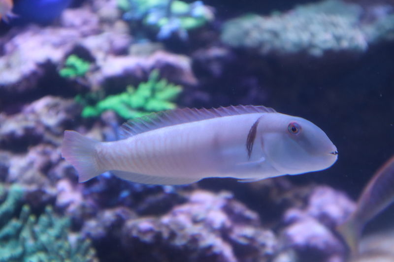 f:id:itsuwalove777:20210228041428j:plain