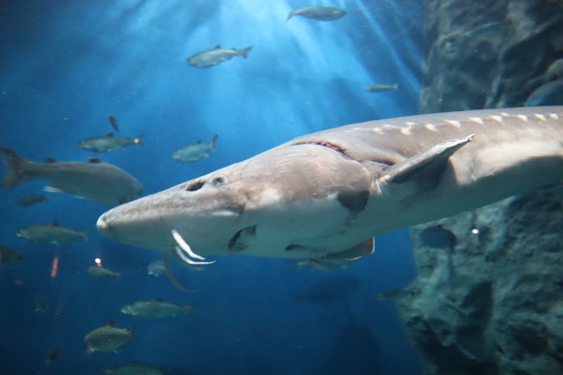 f:id:itsuwalove777:20210228042605j:plain