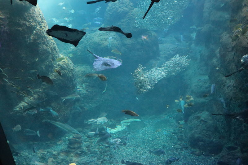 f:id:itsuwalove777:20210228233002j:plain