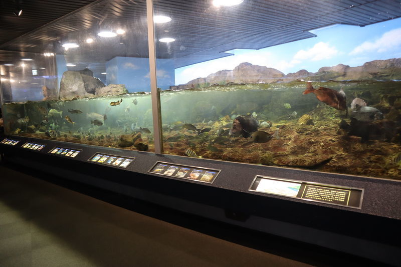 f:id:itsuwalove777:20210228233051j:plain