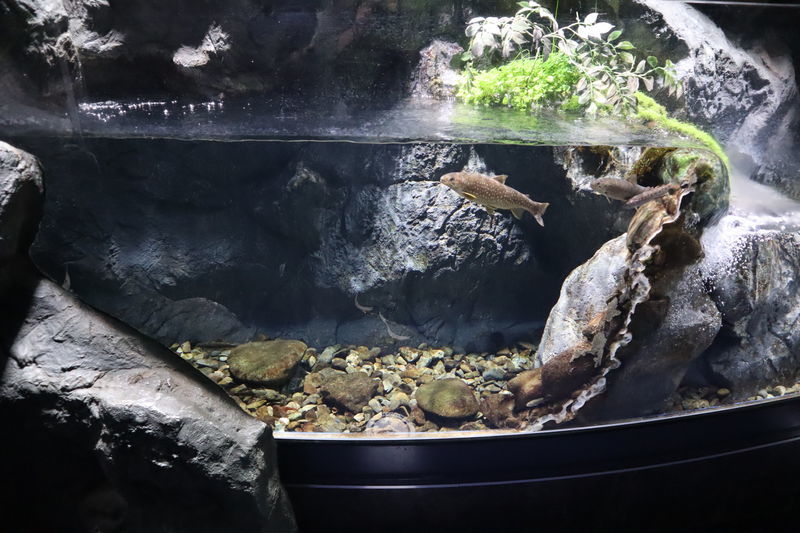 f:id:itsuwalove777:20210301014602j:plain