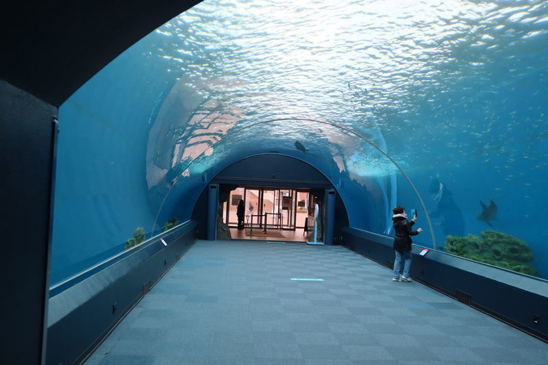 f:id:itsuwalove777:20210301030818j:plain