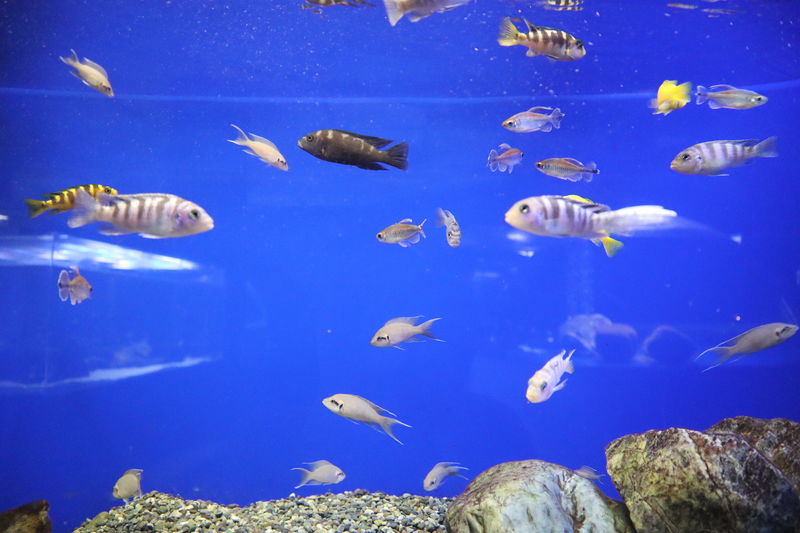 f:id:itsuwalove777:20210301153540j:plain