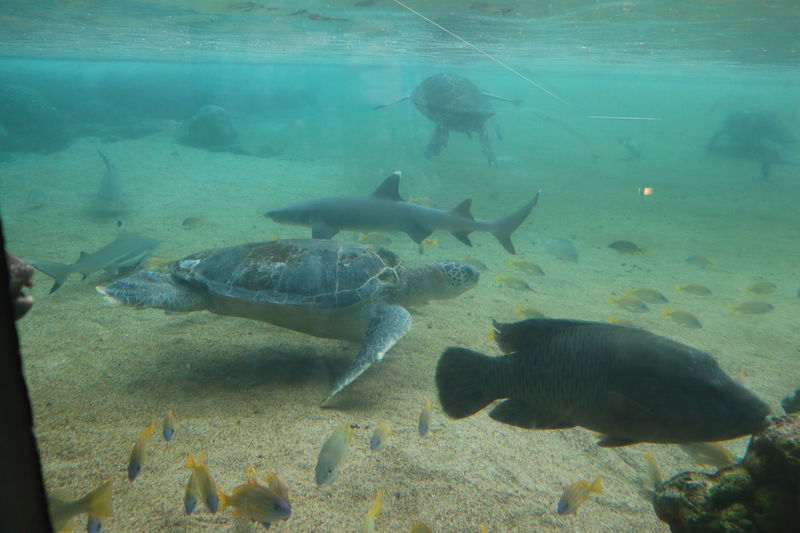 f:id:itsuwalove777:20210303015458j:plain