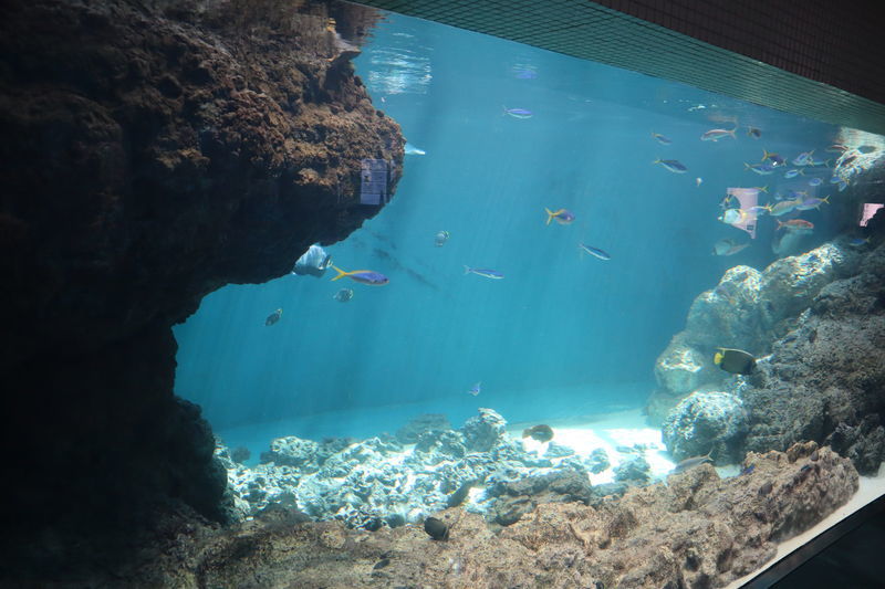 f:id:itsuwalove777:20210306011928j:plain