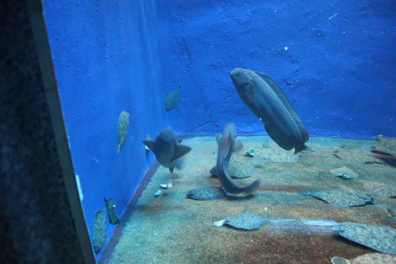 f:id:itsuwalove777:20210306022839j:plain