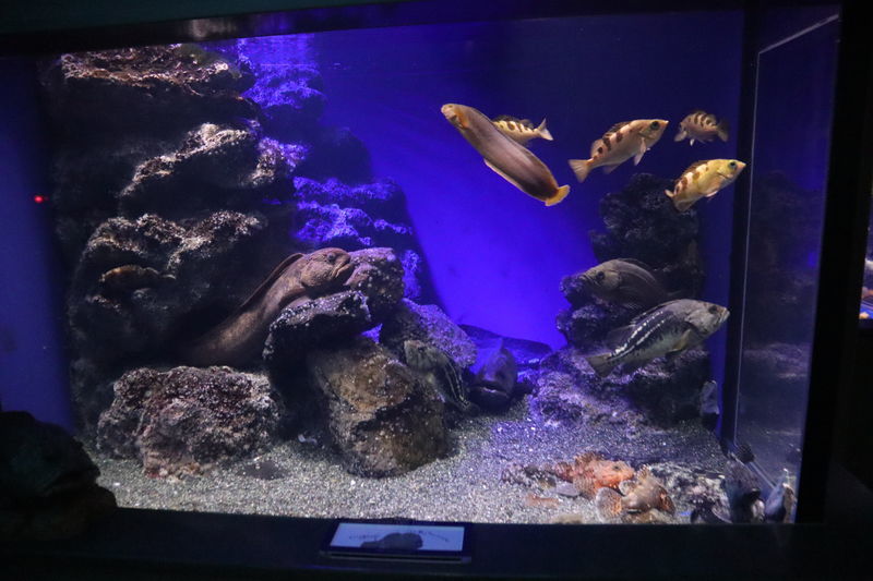 f:id:itsuwalove777:20210306023453j:plain