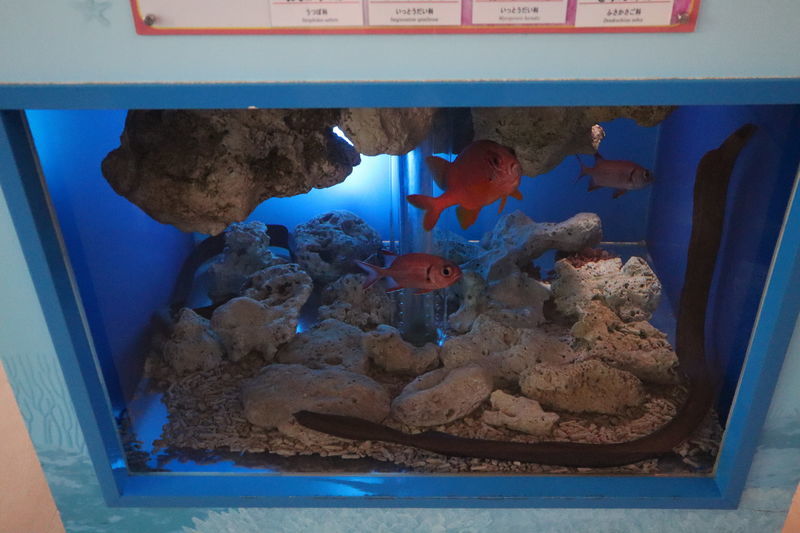 f:id:itsuwalove777:20210306130224j:plain