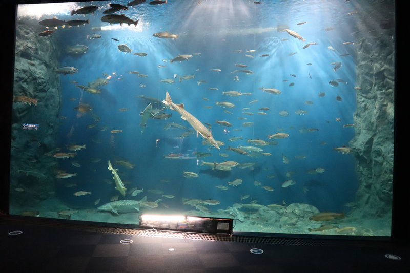 f:id:itsuwalove777:20210306133932j:plain